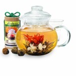 Primula 40-Ounce Glass Teapot with Infuser,12 Flowering Teas